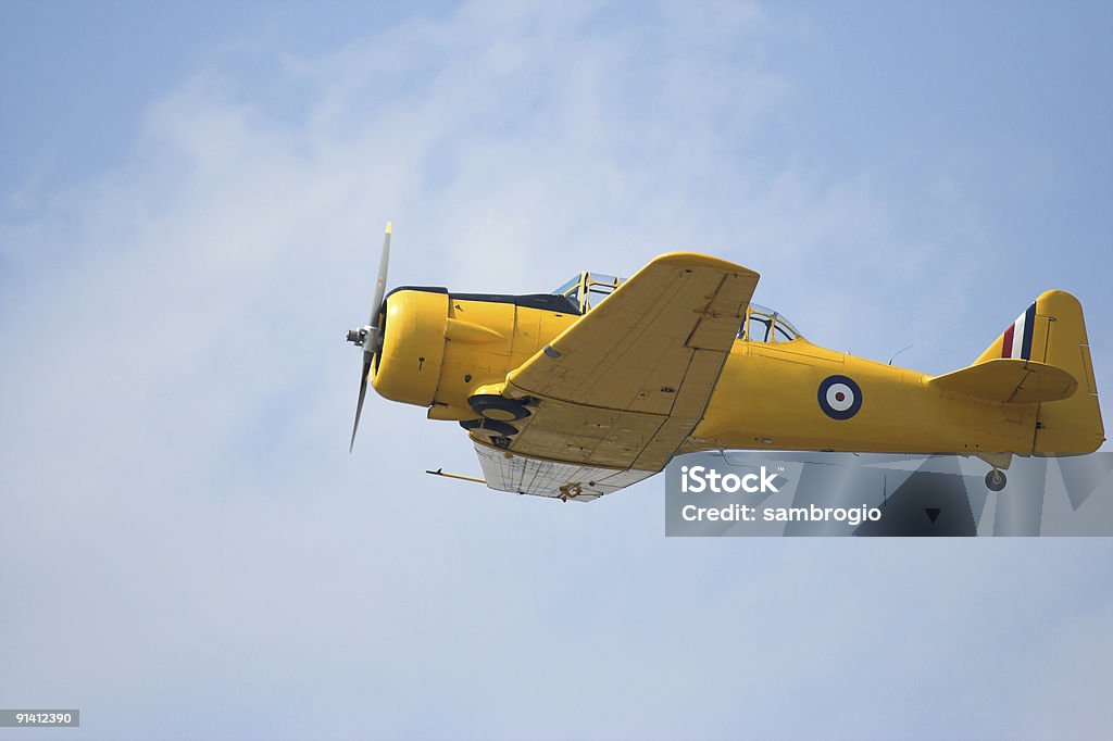 Vintage Flugzeuge - Lizenzfrei Altertümlich Stock-Foto