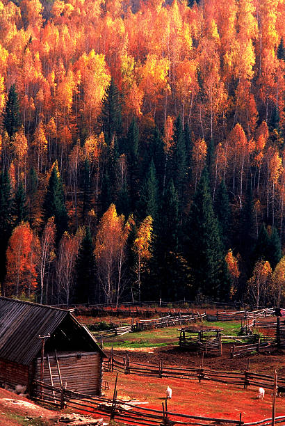 Cтоковое фото Красивая Осень