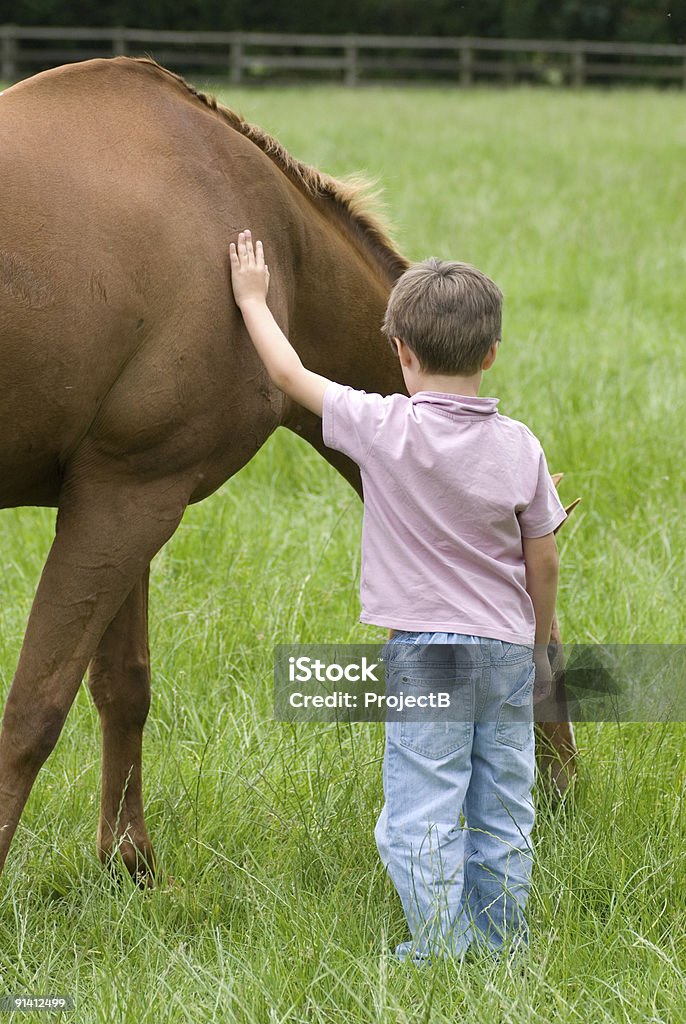 Niño con caballos - Foto de stock de 6-7 años libre de derechos