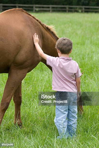 Niño Con Caballos Foto de stock y más banco de imágenes de 6-7 años - 6-7 años, 8-9 años, Acariciar a un animal