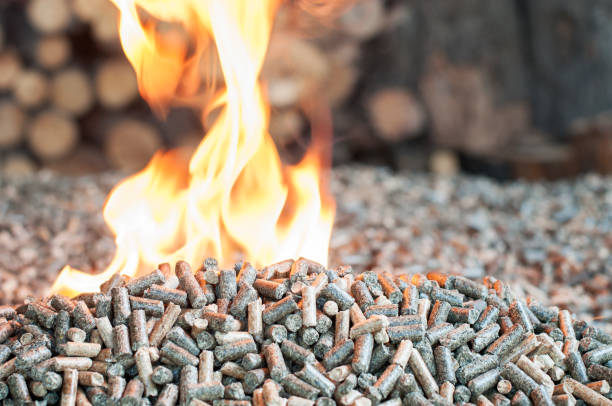 istock Wooden biomass in flames 914126090