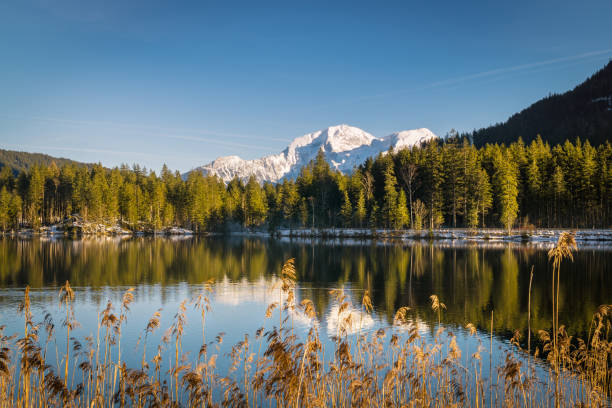 see hinter, bayern, deutschland - ferchensee stock-fotos und bilder