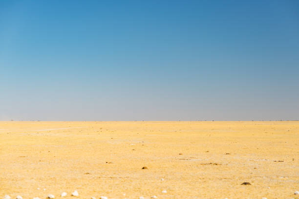 Kalahari desert, salt flat, no where, empty plain, clear sky, road trip in Botswana, travel destination in Africa.