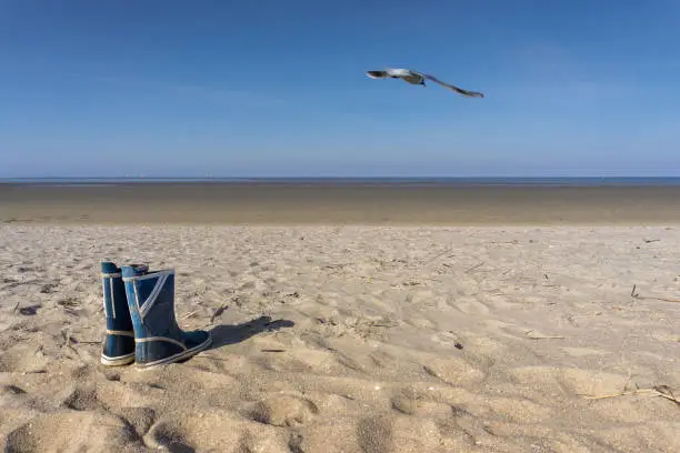 Empty beach with gull and rubber boot