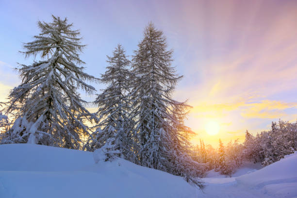 istock Beautifull sunset ski center of Vogel 914130528