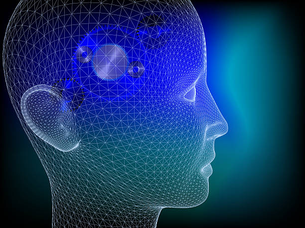wired testa umana con ruote - concentration brain contemplation action foto e immagini stock