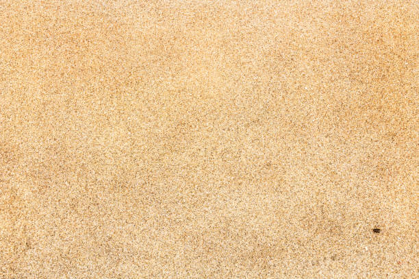 istock Sand texture top view on the tropical beach with visible sand texture for background with copy space for text. 914134354