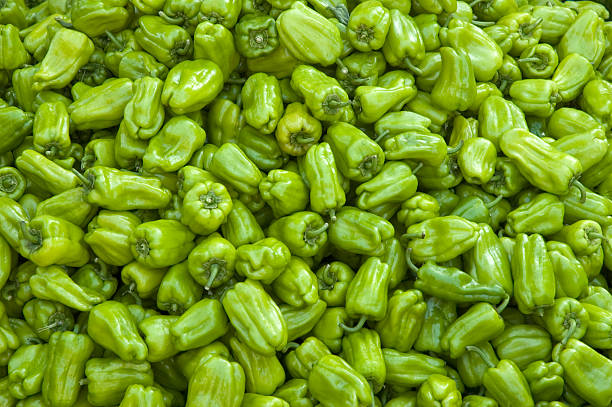 Pepper stock photo