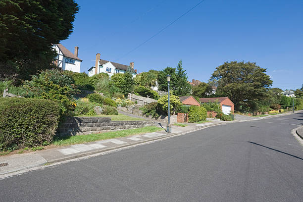 istock Summer Street In Suburbia 91413507