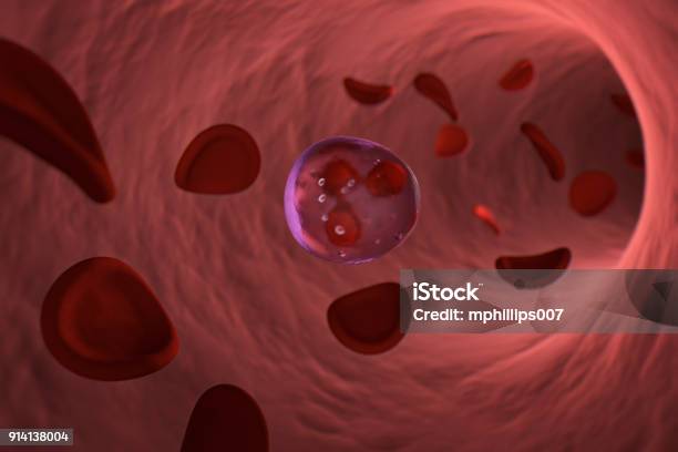 White Blood Cell Neutrophil And Red Blood Cells Stock Photo - Download Image Now - Bone Marrow Tissue, Bone Marrow, Inside Of