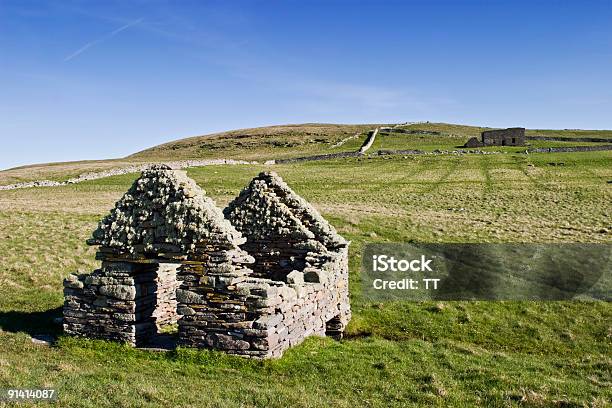 Photo libre de droit de Vieux Ruines Sur Les Landes banque d'images et plus d'images libres de droit de Broch - Broch, Îles Shetland, Agriculture