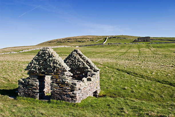 istock Old ruins at the heathland 91414087