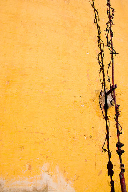 Barbwire on a yellow wall stock photo