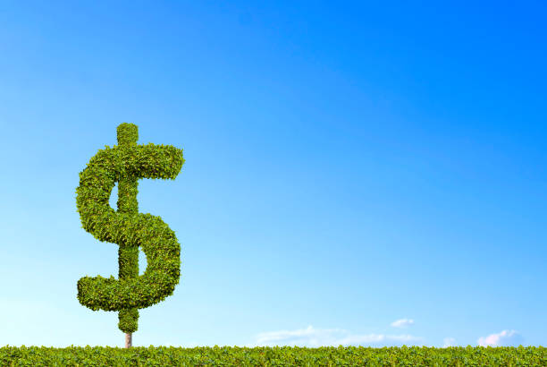 istock Dollar signs are increasing with blue sky background. 914145228