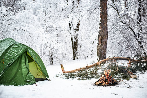 istock A cold overnight in the forest with a tent and a fire. 914145242