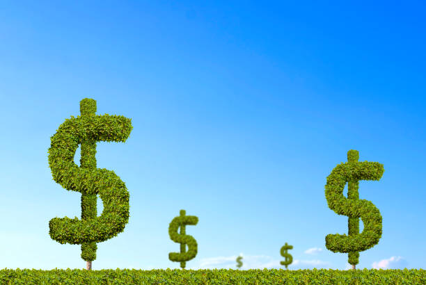 istock Dollar signs are increasing with blue sky background. 914145286