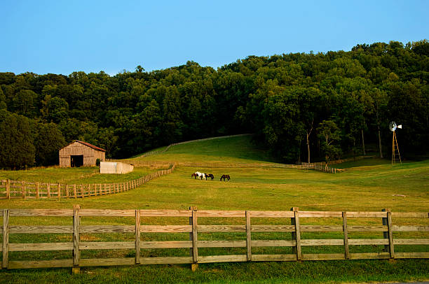 istock Horses on a Farm with a Barn and Windmill 91414759
