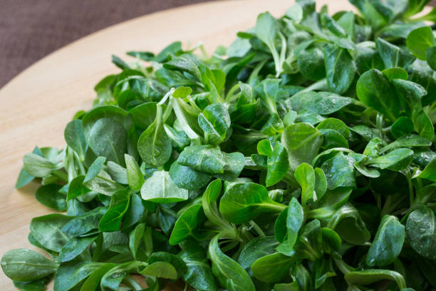 istock Fresh lamb lettuce corn salad on wooden table. 914148438