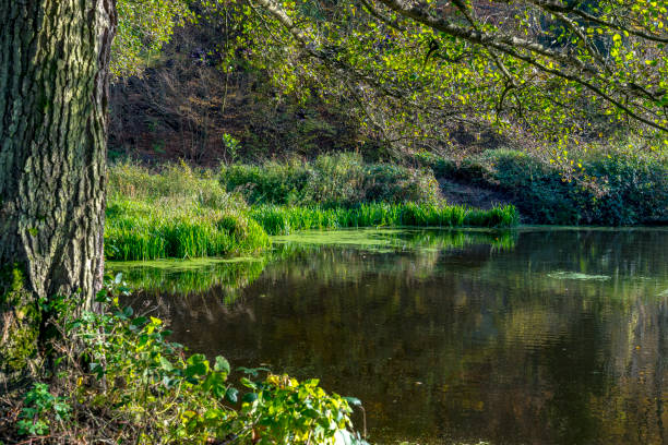 istock Small pond in the foreground of hills 914149056