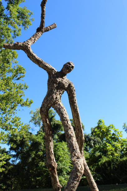 istock Fantasy image of an Angry tree man in the forest 914149390
