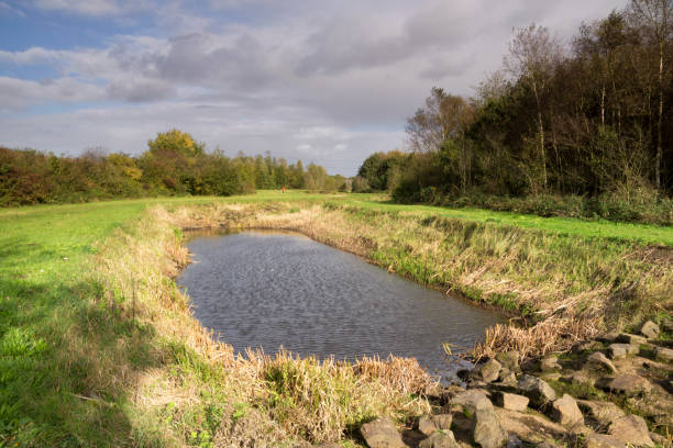 istock Fishway in the Beerze river 914151742