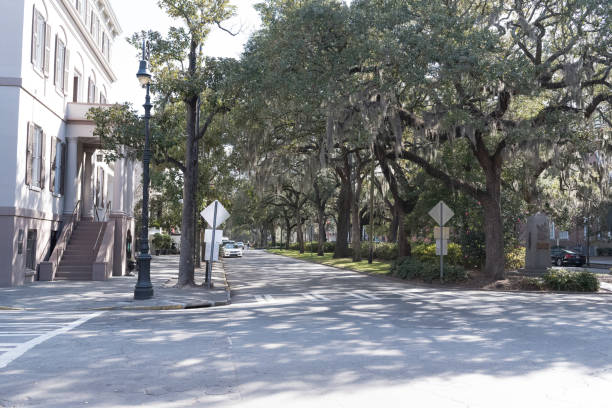istock Historic District Street with Moss 914157792