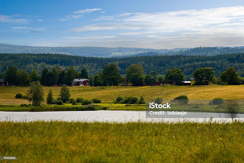 Bela paisagem de verão - Foto de stock de Antigo royalty-free