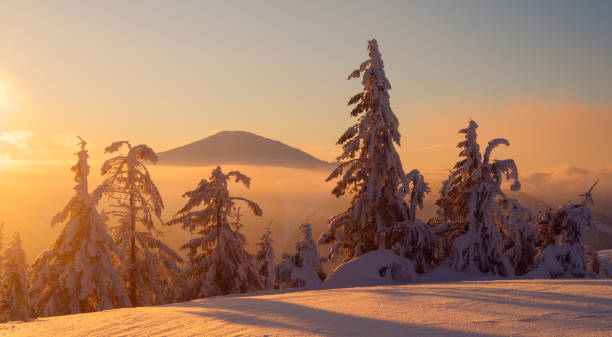 istock Misty morning in Carpathians, Ukraine 914158574
