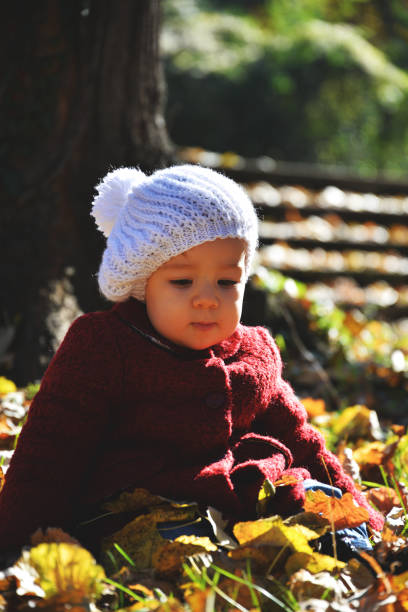 istock Baby in autumn Park 914158578