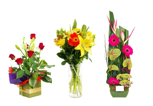 Flowers in various vases on white