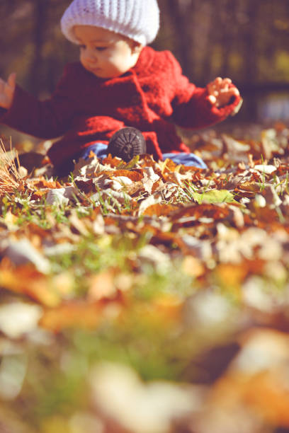 istock Baby in autumn Park 914158978