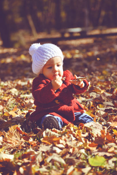 istock Baby in autumn Park 914159022