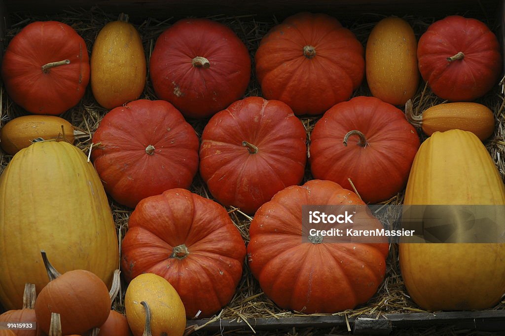 Pumpkin Dsiplay  Kew Gardens Stock Photo