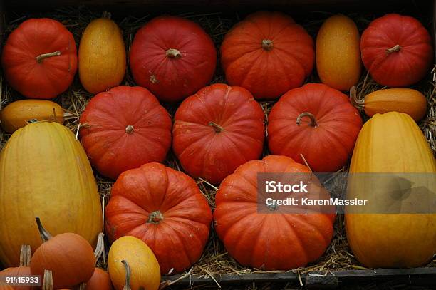 Pumpkin Dsiplay Stock Photo - Download Image Now - Kew Gardens, Agriculture, Autumn