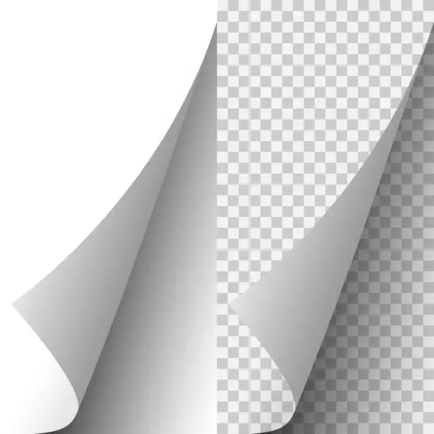 Vector illustration of Vector white realistic paper page corner