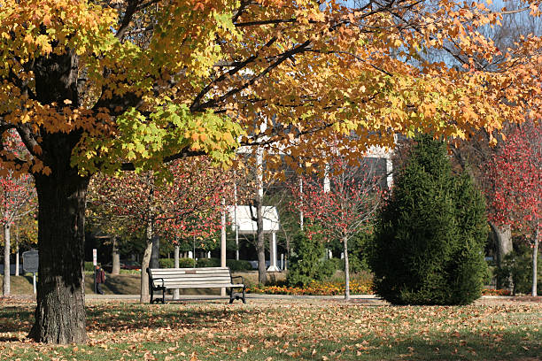 istock Nashville Park in autumn 91415996