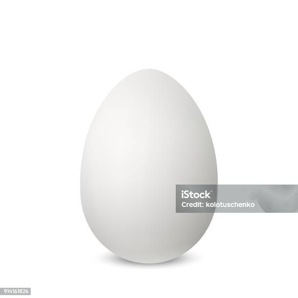 Vector White Single Realistic Animal Egg Stock Illustration - Download Image Now - Animal Egg, Egg - Food, Three Dimensional