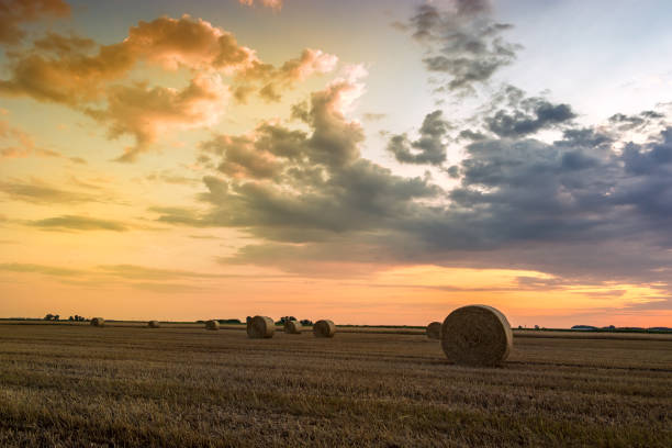 istock Sunset over farm field with hay bales 914162226