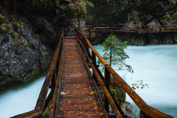istock Vintgar gorge and wooden path near Bled 914168882