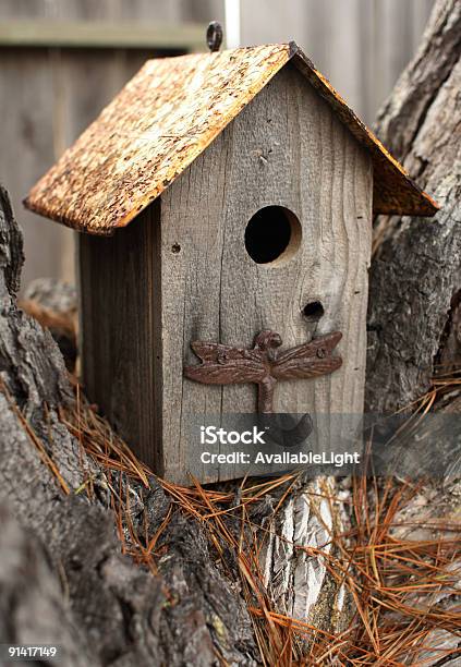 Ptak Dom W Drzewo - zdjęcia stockowe i więcej obrazów Bez ludzi - Bez ludzi, Budka dla ptaków, Cyna