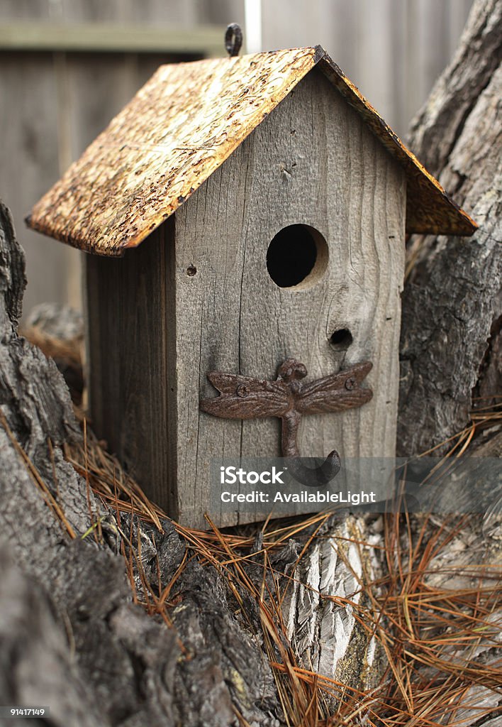 Casa de pássaros na árvore - Foto de stock de Casa de Pássaro royalty-free
