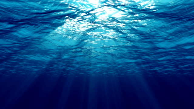 Under ocean water and sunlight. loop