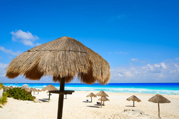 istock Cancun Playa Delfines beach Riviera Maya 914173610