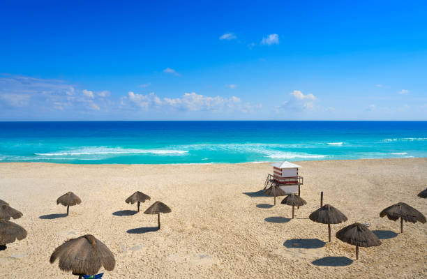 istock Cancun Playa Delfines beach Riviera Maya 914173840