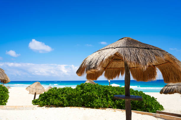 istock Cancun Playa Delfines beach Riviera Maya 914173888