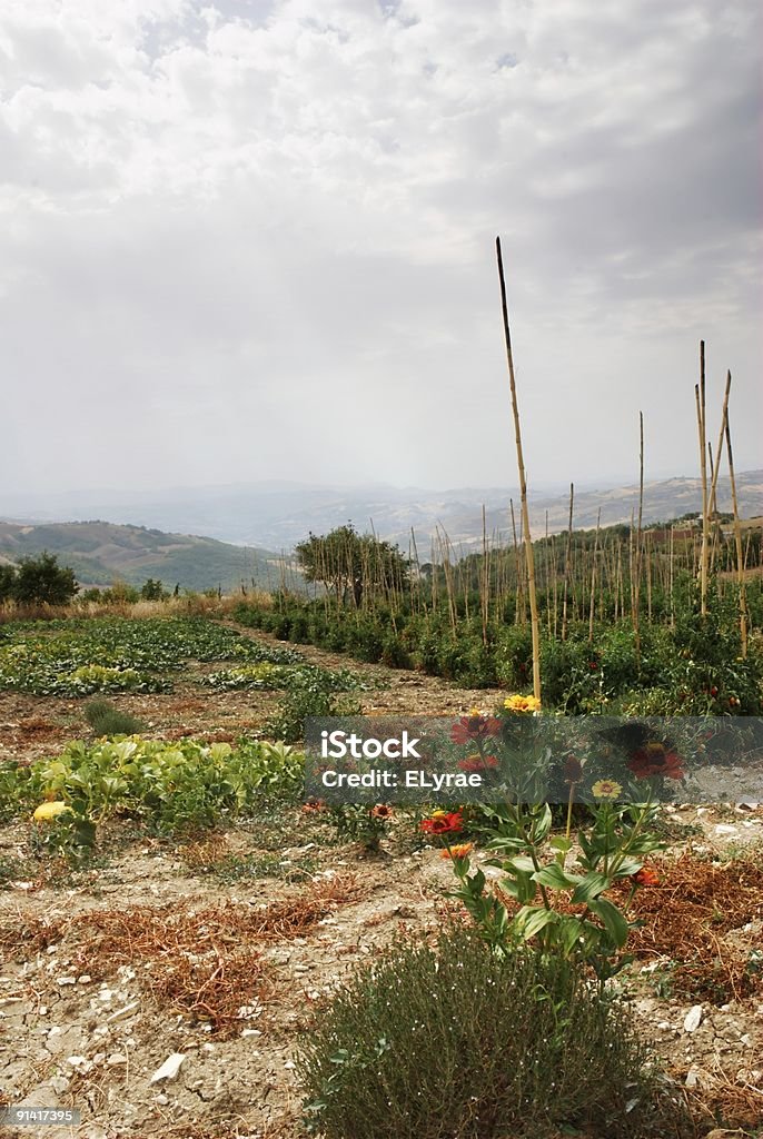 Tierra cultivada - Foto de stock de Aire libre libre de derechos