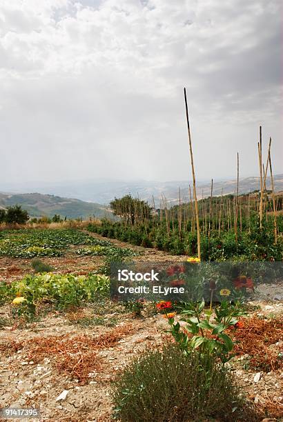 Tierra Cultivada Foto de stock y más banco de imágenes de Aire libre - Aire libre, Apeninos, Bastón para bailar