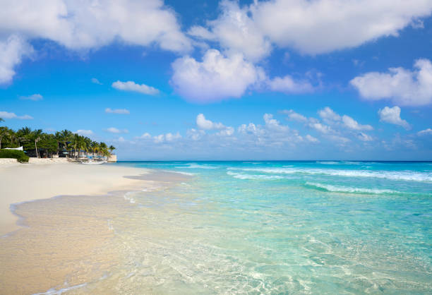 istock Playa del Carmen beach in Riviera Maya 914174026