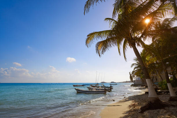 istock Playa del Carmen beach palm trees Mexico 914176108