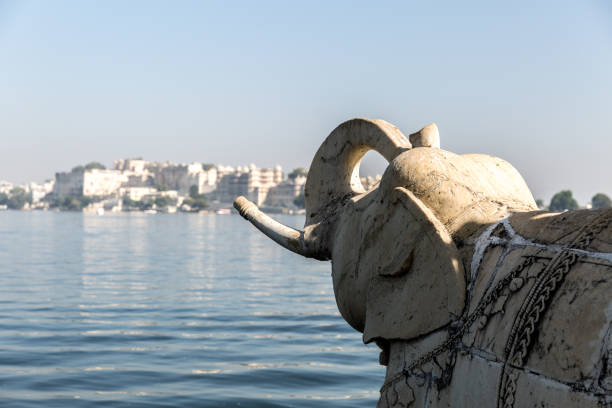 istock Elephant at Udaipur Jagdish temple, India 914176218